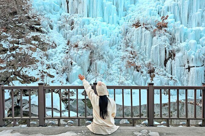 Strawberry Picking, Snow Sledding in Eobi Valley and Sheep Ranch - Good To Know