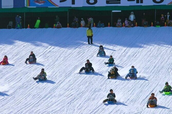 Strawberry Picking, Snow Sledding in Eobi Valley and Sheep Ranch - The Farm-Fresh Strawberries