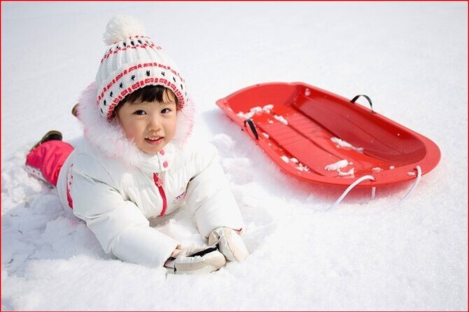 Strawberry Picking, Snow Sledding in Eobi Valley and Sheep Ranch - Who Is This Tour Best For?