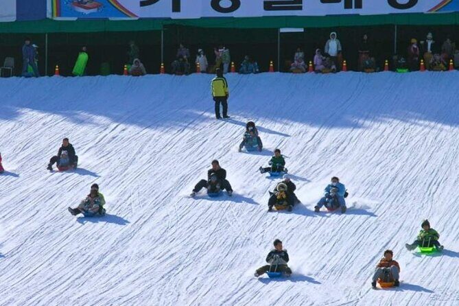 Strawberry Picking, Snow Sledding in Eobi Valley and Sheep Ranch - Final Thoughts