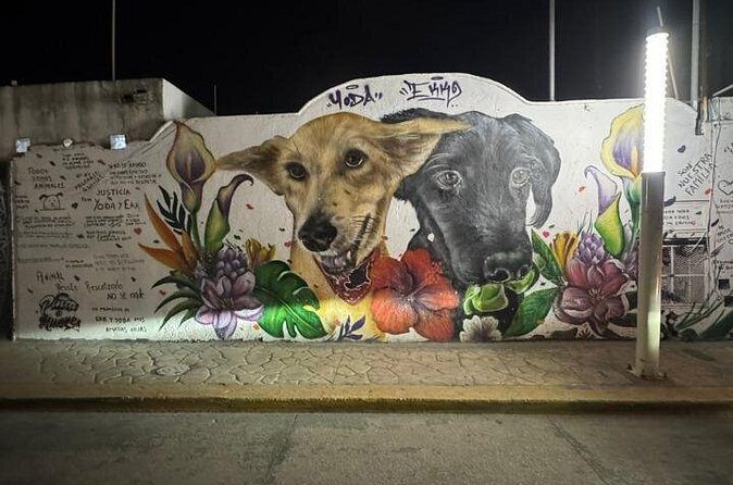 Street Art and Shopping Tour in Playa del Carmen - FAQ