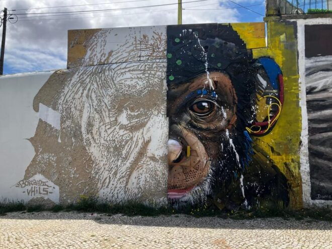 Street Art Lisbon: Tuk Tuk Tour - Artistic Highlights