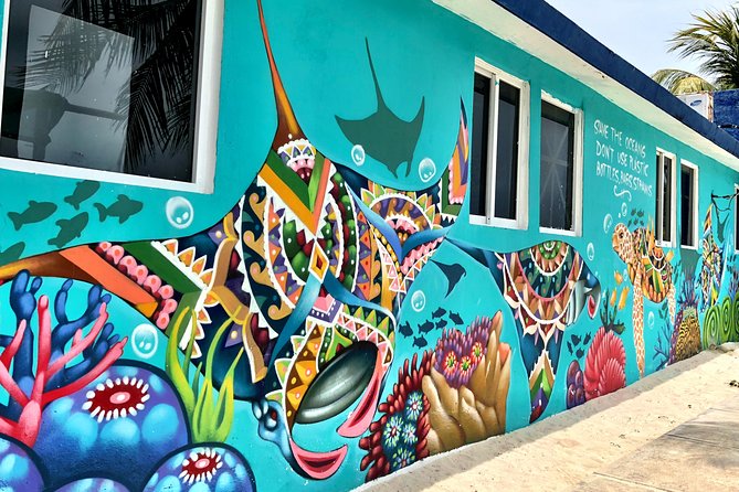 Street Art of Isla Mujeres Tour - Tour Inclusions