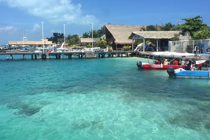 Street Art of Isla Mujeres Tour - Traveler Reviews