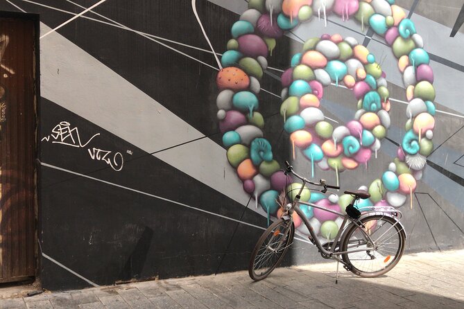 Street Art Private Bike Tour - Historic Streets of Valencia