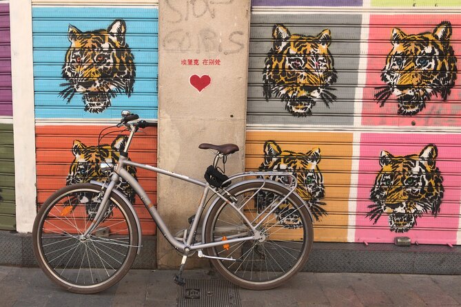 Street Art Private Bike Tour - Modern Street Art by Local Artists