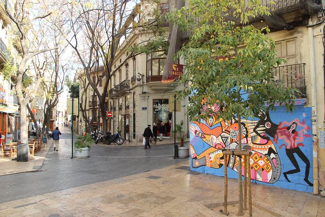 Street Art Private Bike Tour - Guided Bicycle Tour Around City Center