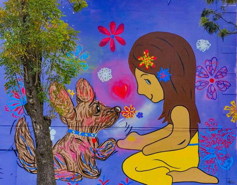 Street Art Tour: the Hidden Face of Mexico City - Who Will Love This Tour?