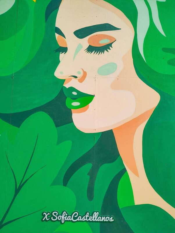 Street Art Tour: the Hidden Face of Mexico City - FAQ