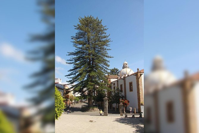 Street Markets of Teror and San Mateo Tour - The Sum Up