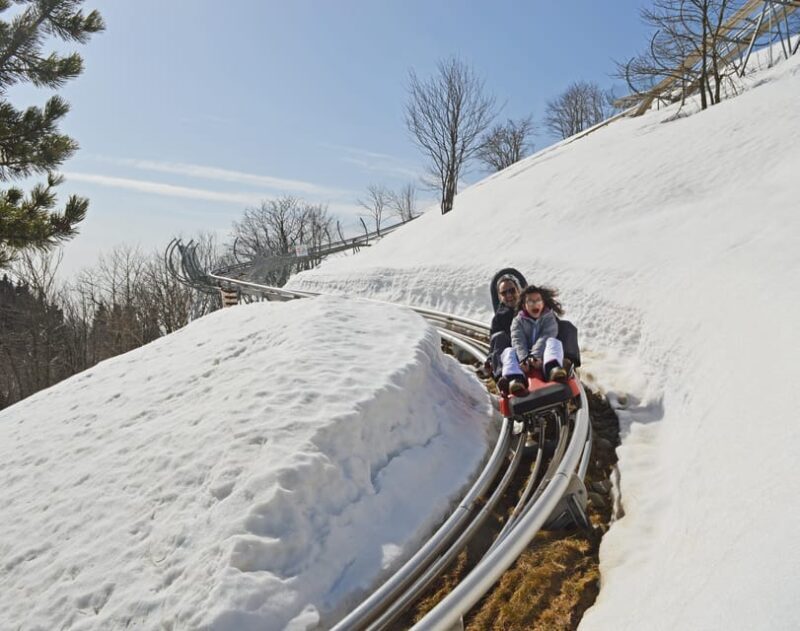 Stresa: Alpyland Alpine Coaster Ride on Mount Mottarone - Authentic Tips and Insights from Visitors