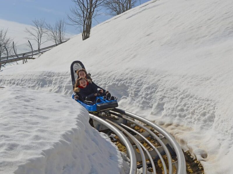Stresa: Alpyland Alpine Coaster Ride on Mount Mottarone - The Sum Up: Is the Alpyland Alpine Coaster Worth It?