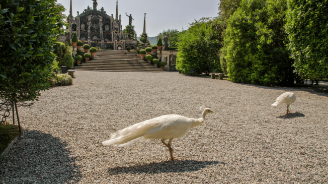 Stresa and the Borromean Islands: Italian Lakes Private Tour - Preparation and Recommendations