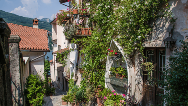 Stresa and the Borromean Islands: Italian Lakes Private Tour - Participant Information