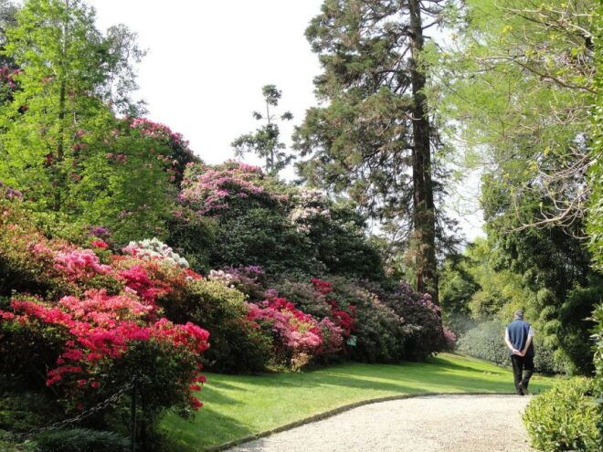 Stresa: Madre & Bella Borromean Islands Boat Trip - Restrictions