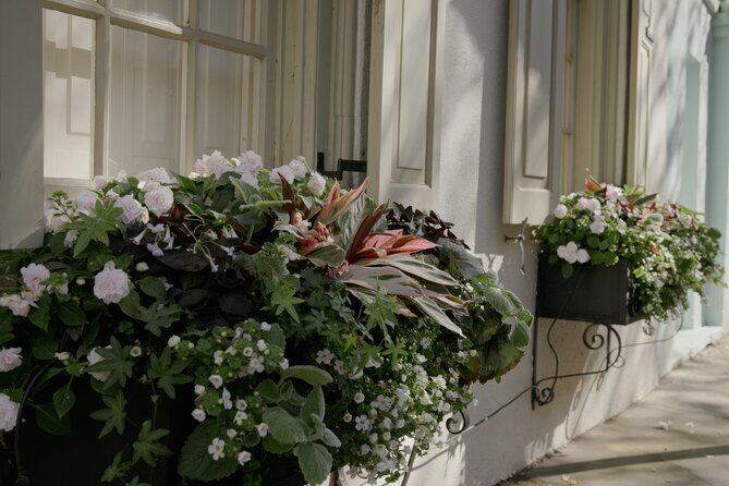 Stroll Historic South of Broad in Charlestons Walled City - Value and Practical Considerations