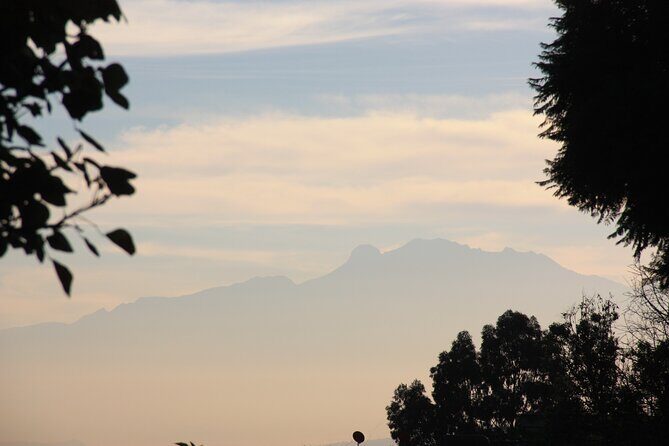 Stroll in the famous floating gardens of ancient Mexico - Good To Know