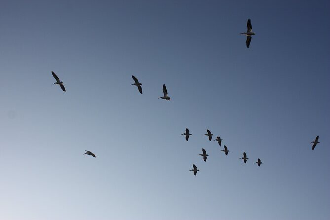 Stroll in the famous floating gardens of ancient Mexico - Who Would Love This Experience?