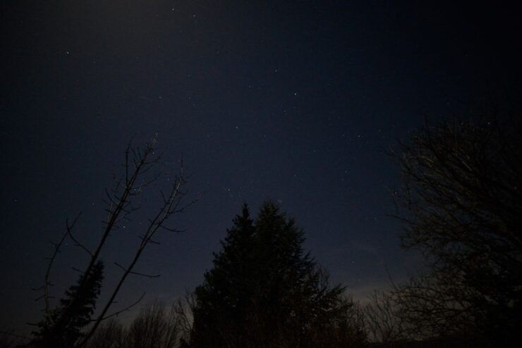 Stroll Under the Stars : Stargazing and Astronomy Tour - Group Size & Interaction