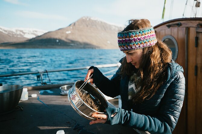 Studying Whales and Wildlife Experience in Skjalfandi Bay - Citizen Science Contribution