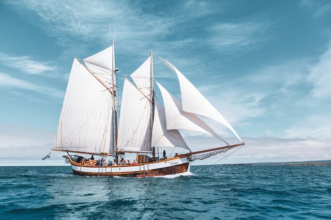 Studying Whales and Wildlife Experience in Skjalfandi Bay - Sailing Experience on an Eco-Friendly Vessel
