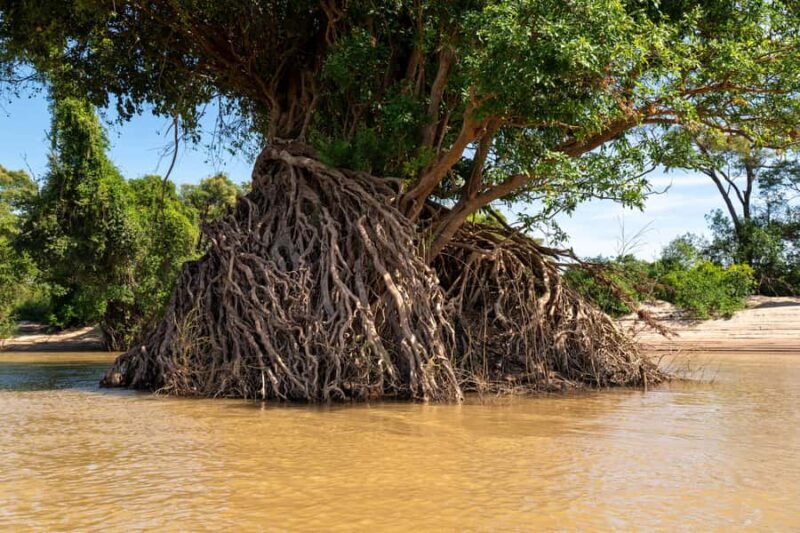 Stung Treng: 3 Nights Mekong River Boat Cruises and Kayaking - Practical Details and Tips for Travelers  