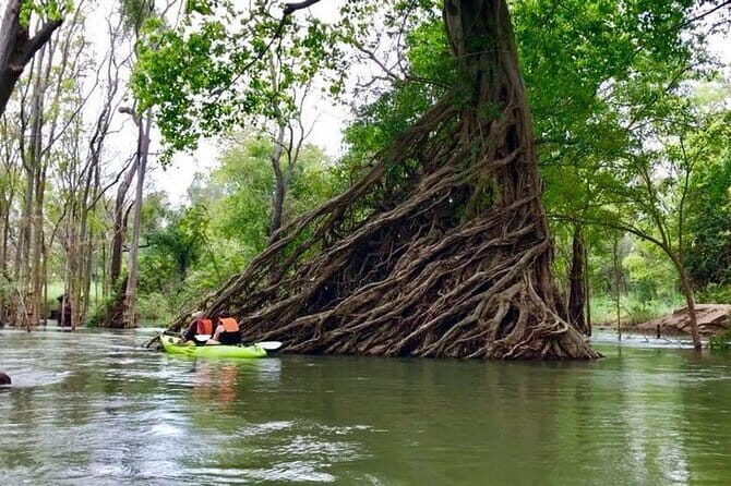 Stung Treng Canoeing In Mekong River - Discover the Charm of the Stung Treng Canoeing in Mekong River Tour