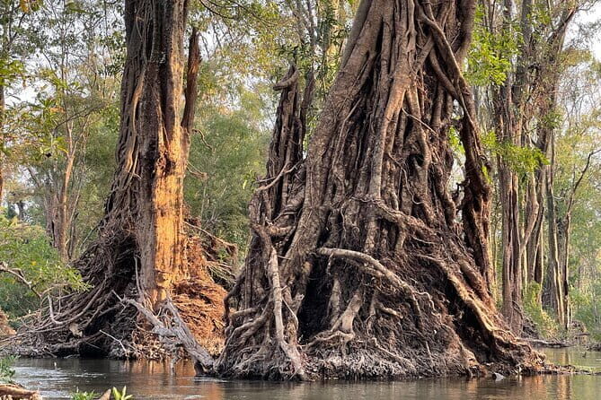Stung Treng Canoeing In Mekong River - Authentic Experiences and Insights from Past Travelers