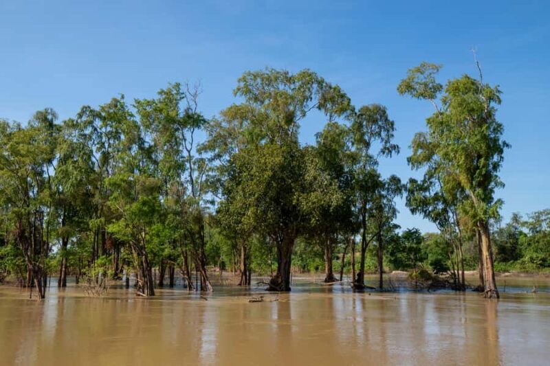 Stung Treng: Mekong River Boat Cruise to the Flooded Forests - Practical Details & Value