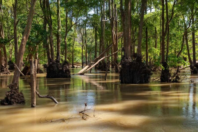 Stung Treng: Mekong River Boat Cruise to the Flooded Forests - Frequently Asked Questions (FAQs)