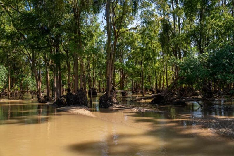 Stung Treng: Mekong River Boat Cruise to the Flooded Forests - Final Thoughts