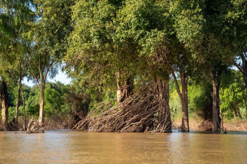 Stung Treng: Mekong River Boat Cruise to the Flooded Forests - Practical Details and Considerations