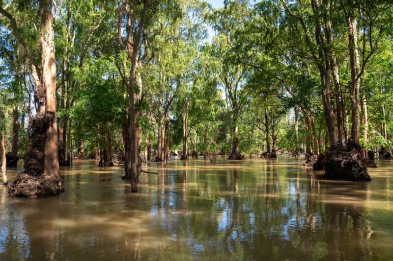 Stung Treng: Mekong River Boat Cruise to the Flooded Forests - Final Thoughts: Is This Tour Worth It?