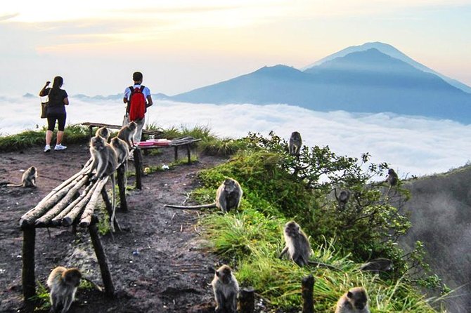 Stunning and Magnificent Kintamani Highland Full Day Tour - Itinerary Highlights