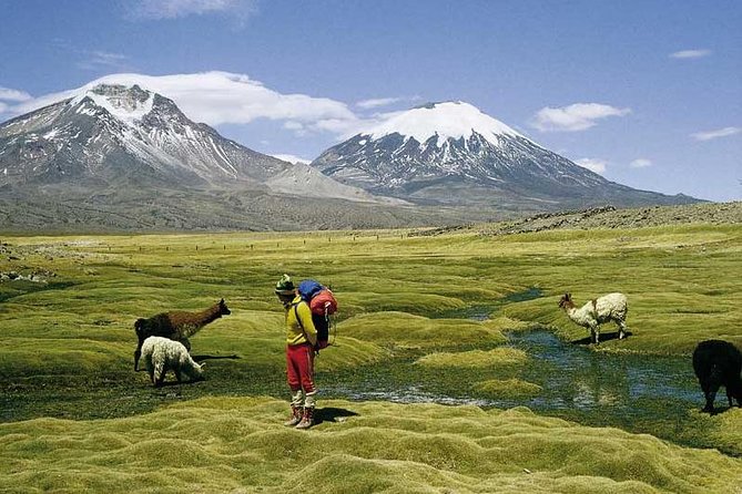Stunning Arica Tour: Lauca National Park Adventure - Tour Pricing and Lowest Price Guarantee