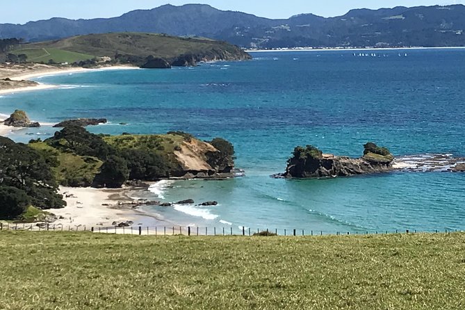 Stunning Auckland East Coast Walk & Wine Private Tour - The Sum Up