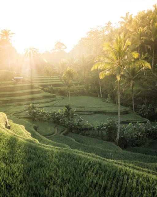 Stunning Bali Waterfall Tour and Experience a Jungle Swing - Inclusions of the Tour