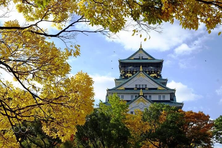 Stunning Japan with Shirakawa-go by Stunning Tours - 8-Day Osaka to Tokyo Tour - Day 3: Choose Osaka or Hiroshima