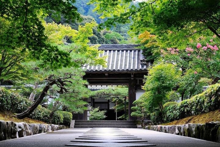 Stunning Japan with Shirakawa-go by Stunning Tours - 8-Day Osaka to Tokyo Tour - Day 7: From the Imperial Palace to Shibuya