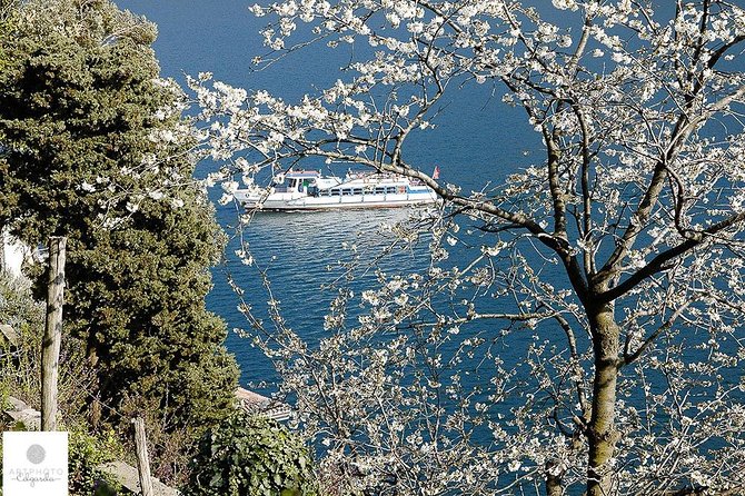 Stunning Photo Tour From Lugano to Gandria With Photo Pro - Questions and Support Information