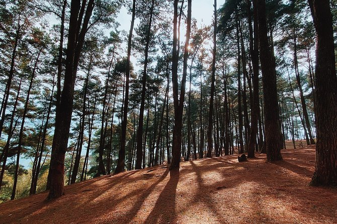 Stunning Ride in Ha Giang Loop - Common Questions