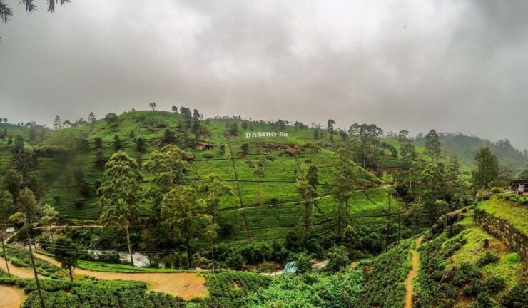 STUNNING SRI LANKA 15 DAYS & 14 NIGHTS Tour - Booking and Flexibility