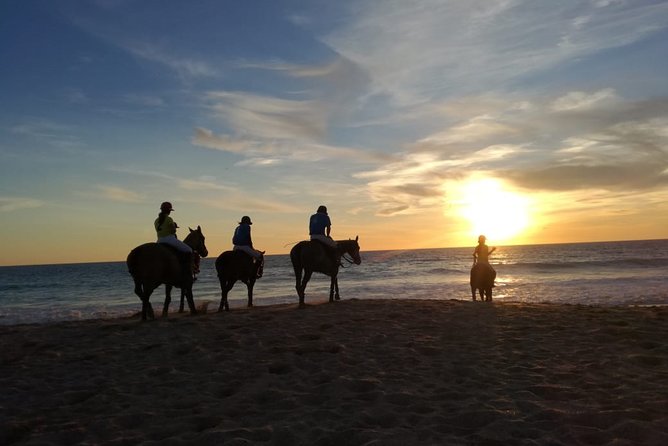 Stunning Sundown Beach Ride ... on Horseback! - Customer Reviews and Positive Experiences