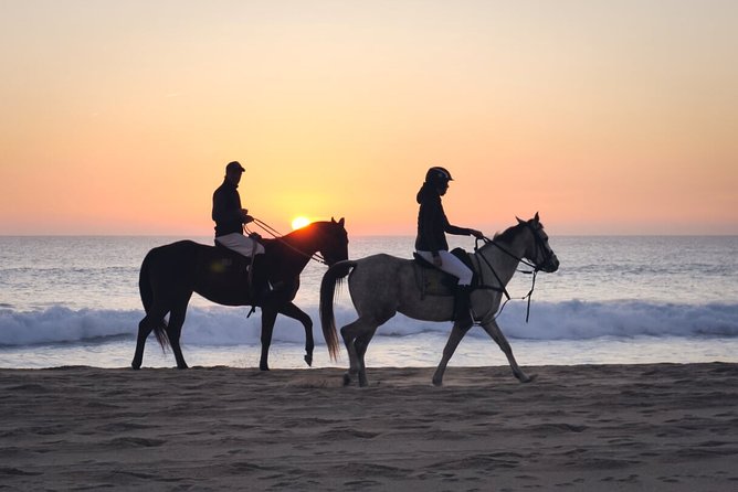 Stunning Sundown Beach Ride ... on Horseback! - Recommendations and Customer Satisfaction