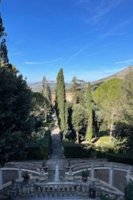 STUNNING TIVOLI: VILLA DESTE HALF DAY GUIDED TOUR FROM ROME - Important Restrictions