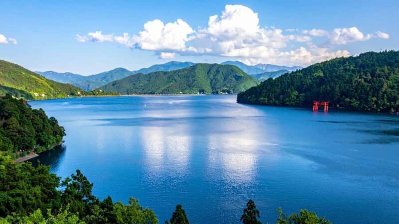 Stunning Views of Mt. Fuji & Hakone Day Trip From Tokyo - Transportation, Cost, and Practical Tips: Making the Most of Your Day