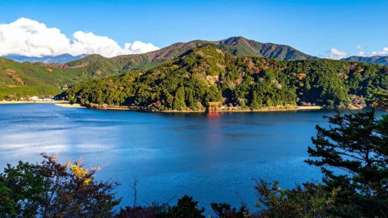 Stunning Views of Mt. Fuji & Hakone Day Trip From Tokyo - Who Will Love This Tour?