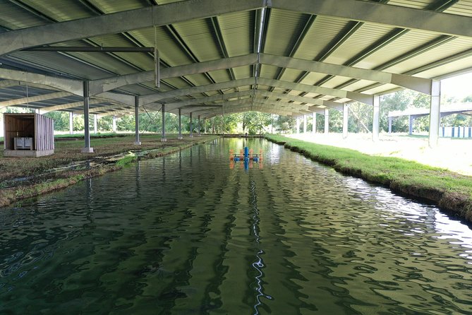 Sturgeon Fish-Farm Visit and Caviar Discovery Tasting in Neuvic - Traveler Photos and Reviews