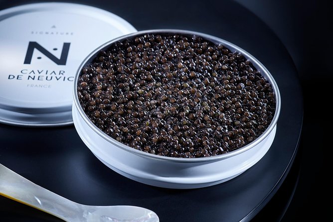 Sturgeon Fish-Farm Visit and Caviar Discovery Tasting in Neuvic - Questions and Assistance