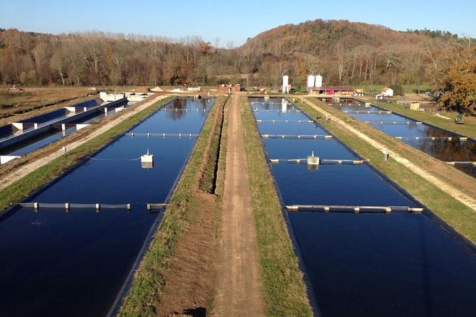 Sturgeon Fish-Farm Visit and Caviar Master Class Tasting in Neuvic - Tour Details